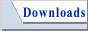 DownloadsArea distributore di Vir.IT eXplorer Lite