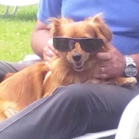 Clicca per ingrandire l'immagine di Red mascotte ufficiale di TG Soft...